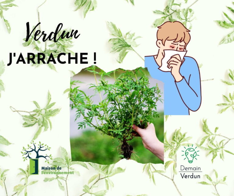 Verdun j’arrache!