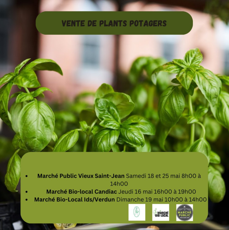 Vente de Plants Potagers